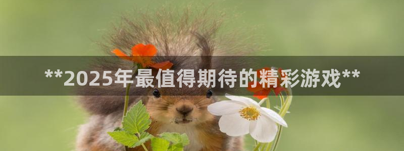 新城平台线路登录不上去了