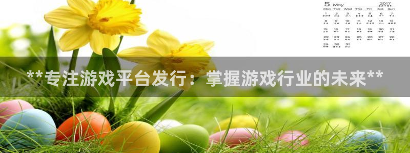 新城平台登录入口官网查询系统