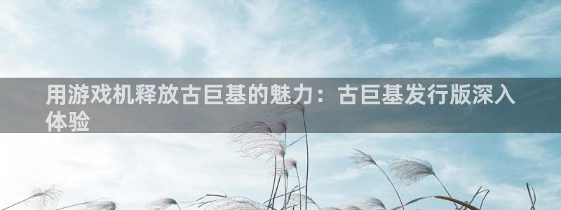 新城平台游戏
