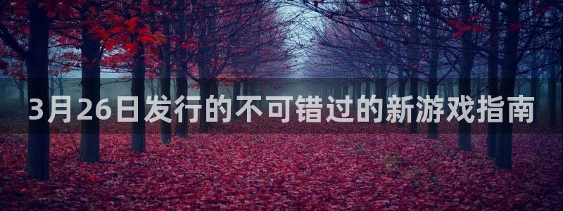 新城平台游戏