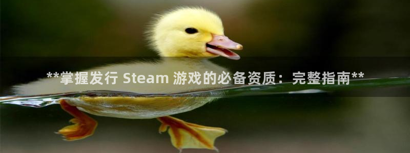 新城平台线路登录不上去怎么办呢：**掌握发行 Steam 游戏的必备资质：完整指南**