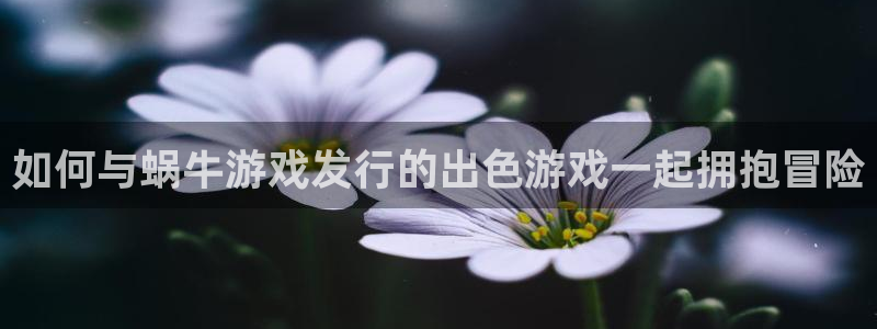 新城平台注册公司流程视频：如何与蜗牛游戏发行的出色游戏一起拥抱冒险