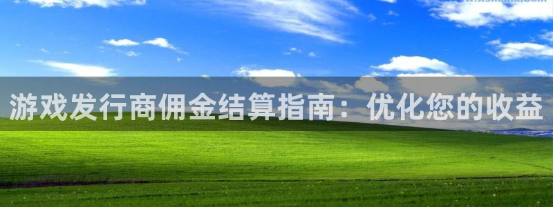 新城平台代理电话：游戏发行商佣金结算指南：优化您的收益