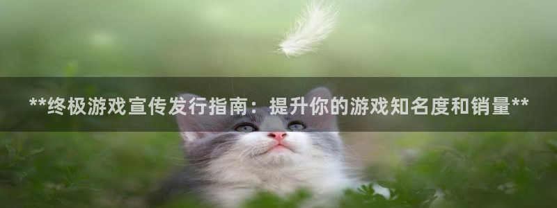 新城平台注册资金多少：**终极游戏宣传发行指南：提升你的游戏知名度和销量**