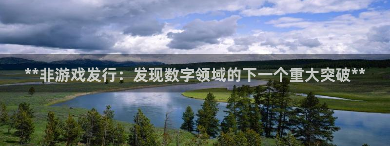 新城平台负责人电话