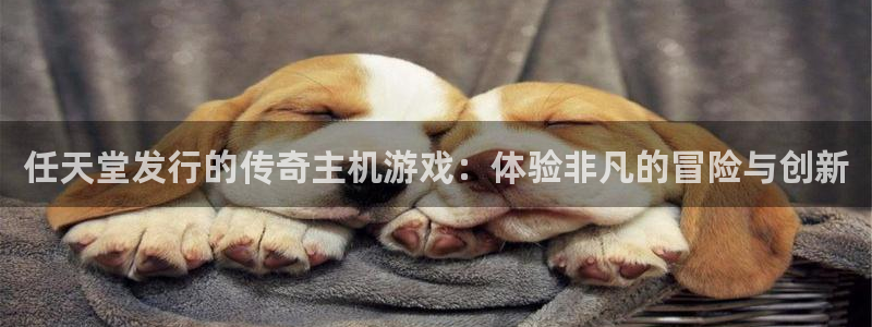 新城平台总代