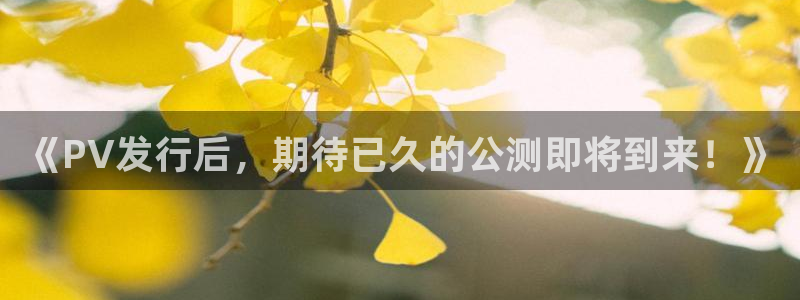 新城平台线路登录不上去