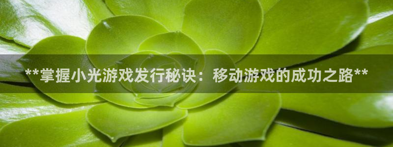 新城平台登录入口官网下载：**掌握小光游戏发行秘诀：移动游戏的成功之路**