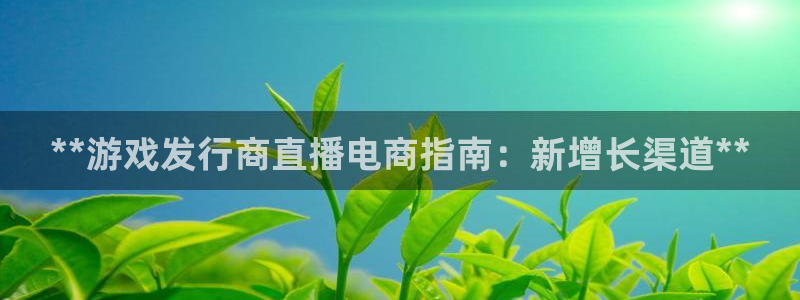 新城平台注册登录地址怎么填：**游戏发行商直播电商指南：新增长渠道**