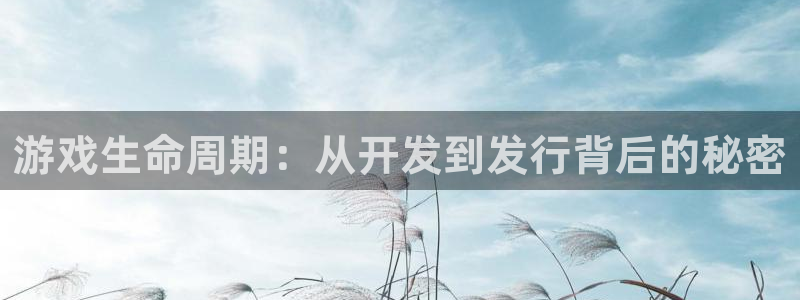 新城平台线路登录不上去怎么办呀：游戏生命周期：从开发到发行背后的秘密