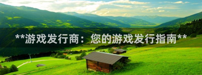 新城平台网址：**游戏发行商：您的游戏发行指南**