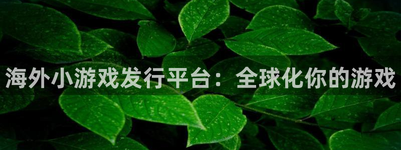 新城平台使7O777：海外小游戏发行平台：全球化你的游戏
