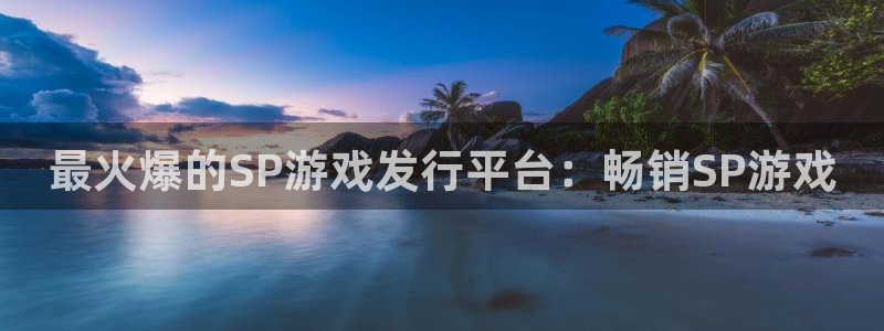 新城平台登录入口官网网址：最火爆的SP游戏发行平台：畅销SP游戏