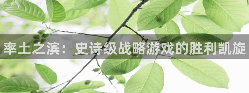 新城平台注册流程：率土之滨：史诗级战略游戏的胜利凯旋