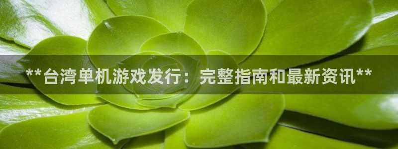 新城平台注册网址是什么