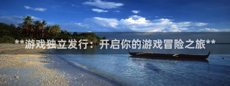 新城平台登录密码忘了：**游戏独立发行：开启你的游戏冒险之旅**