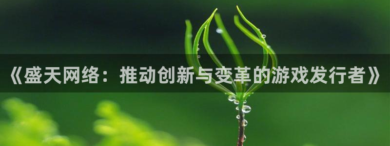 新城平台注册公司流程