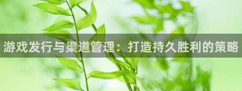 新城平台注册流程视频