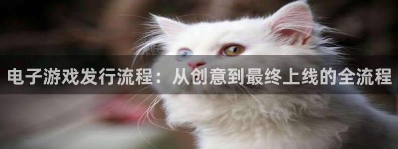 新城平台登录入口官网下载app