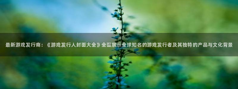 新城平台注册流程视频