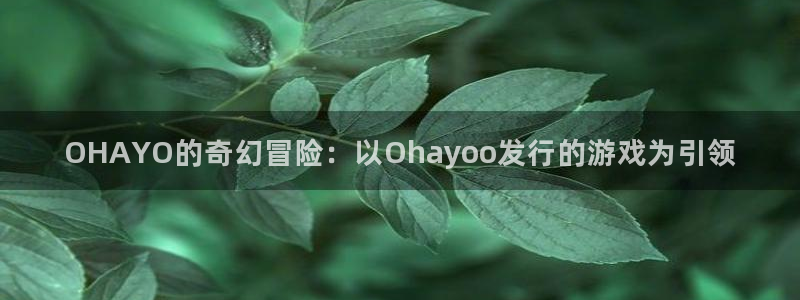 新城平台线路登录不上去