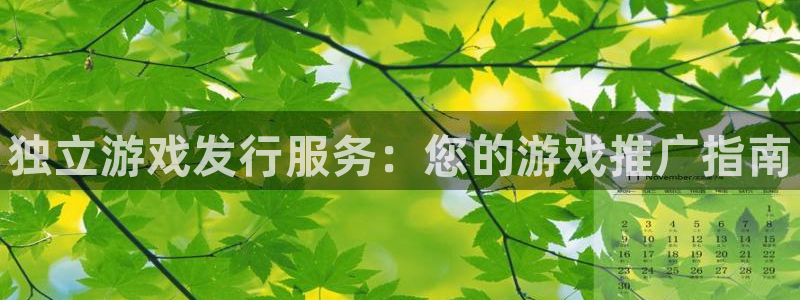 新城平台登录密码忘了怎么办：独立游戏发行服务：您的游戏推广指南