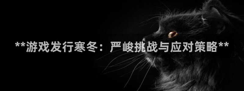 新城平台官网首页登录：**游戏发行寒冬：严峻挑战与应对策略**