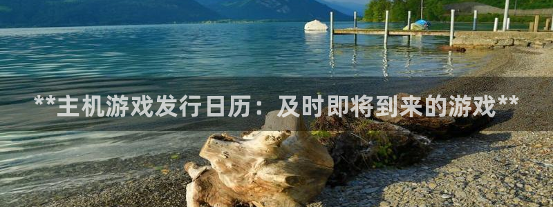 新城平台总代：**主机游戏发行日历：及时即将到来的游戏**