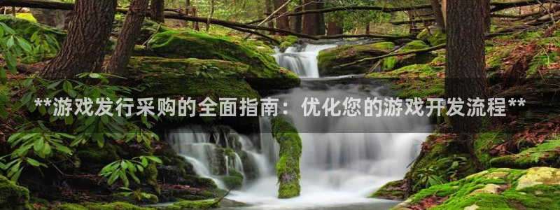 新城平台登录：**游戏发行采购的全面指南：优化您的游戏开发流程**