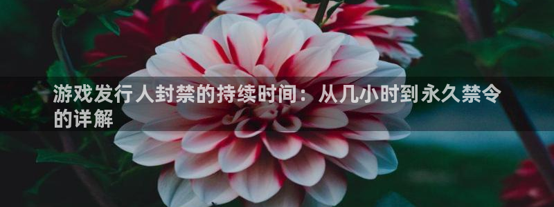 新城平台主管：游戏发行人封禁的持续时间：从几小时到永久禁令
的详解