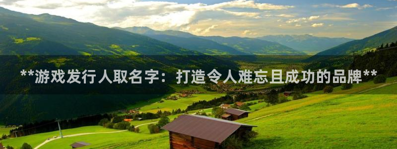 新城平台线路登录不上去怎么回事呢：**游戏发行人取名字：打造令人难忘且成功的品牌**