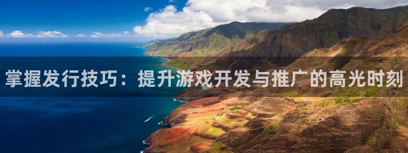 新城平台代理电话：掌握发行技巧：提升游戏开发与推广的高光时刻