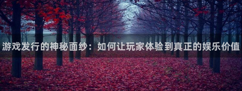 新城平台平台最新活动有哪些：游戏发行的神秘面纱：如何让玩家体验到真正的娱乐价值