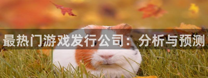 新城平台是干嘛的公司