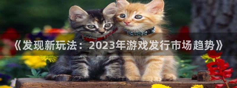 新城平台计7O777