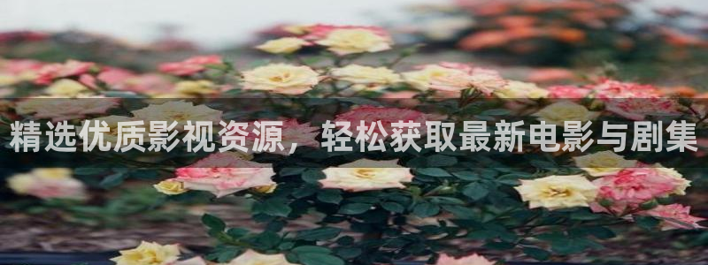 小小影视在线下载