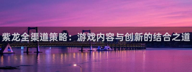 新城平台平台最新活动消息：紫龙全渠道策略：游戏内容与创新的结合之道