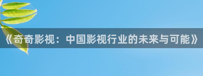 老九门小小影视