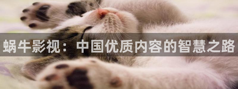 x小小影视