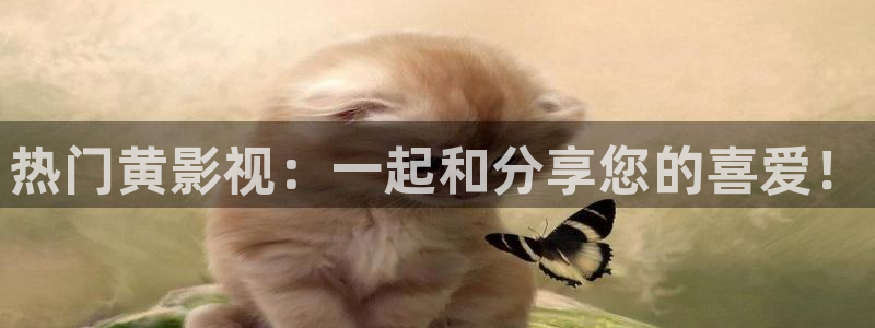 app小小影视大全
