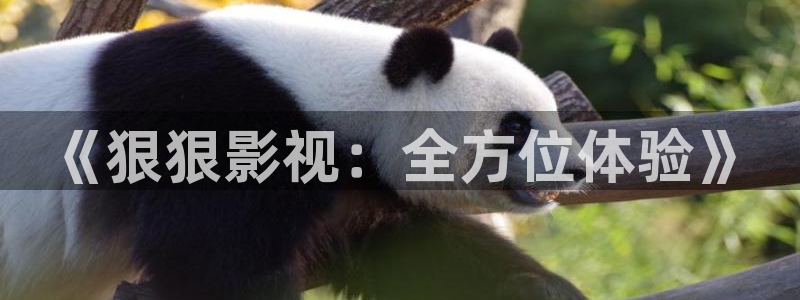 小小影视应用