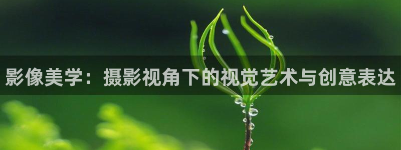 小小影视3.2.0免费版
